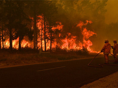 Природные катастрофы: лесные пожары