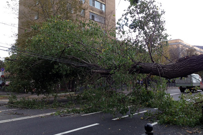 Ураганы в Москве: лето 2011 года Ураганы в Москве: лето 2011 года