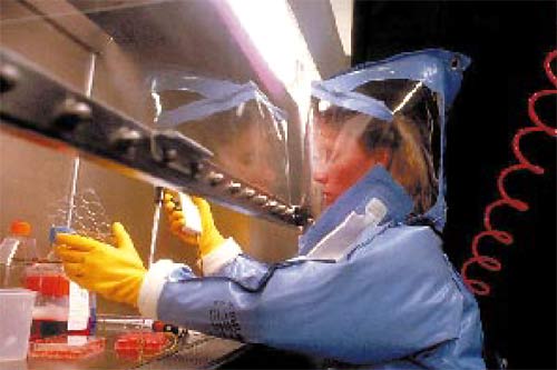 Биологическое оружие в продуктах питания Биологическое оружие в продуктах питания