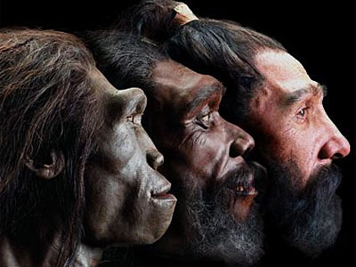 Происхождение человека: эволюционный креационизм
