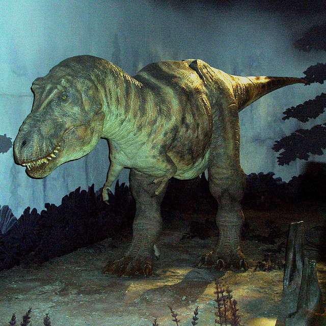 Тираннозавр и его конечности