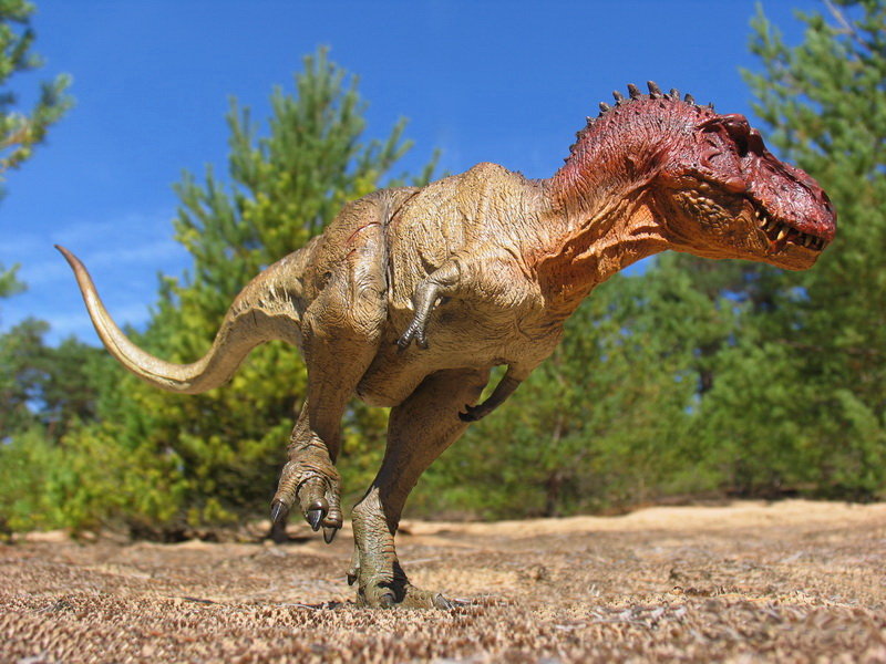 Тираннозавр: размеры