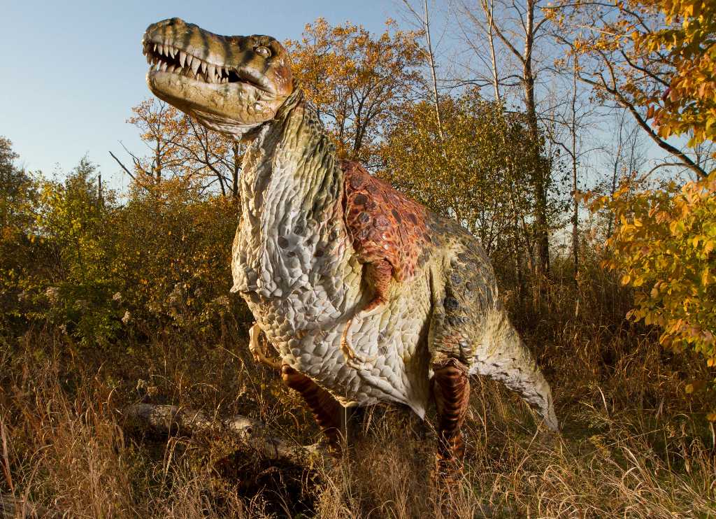 Тираннозавр: останки