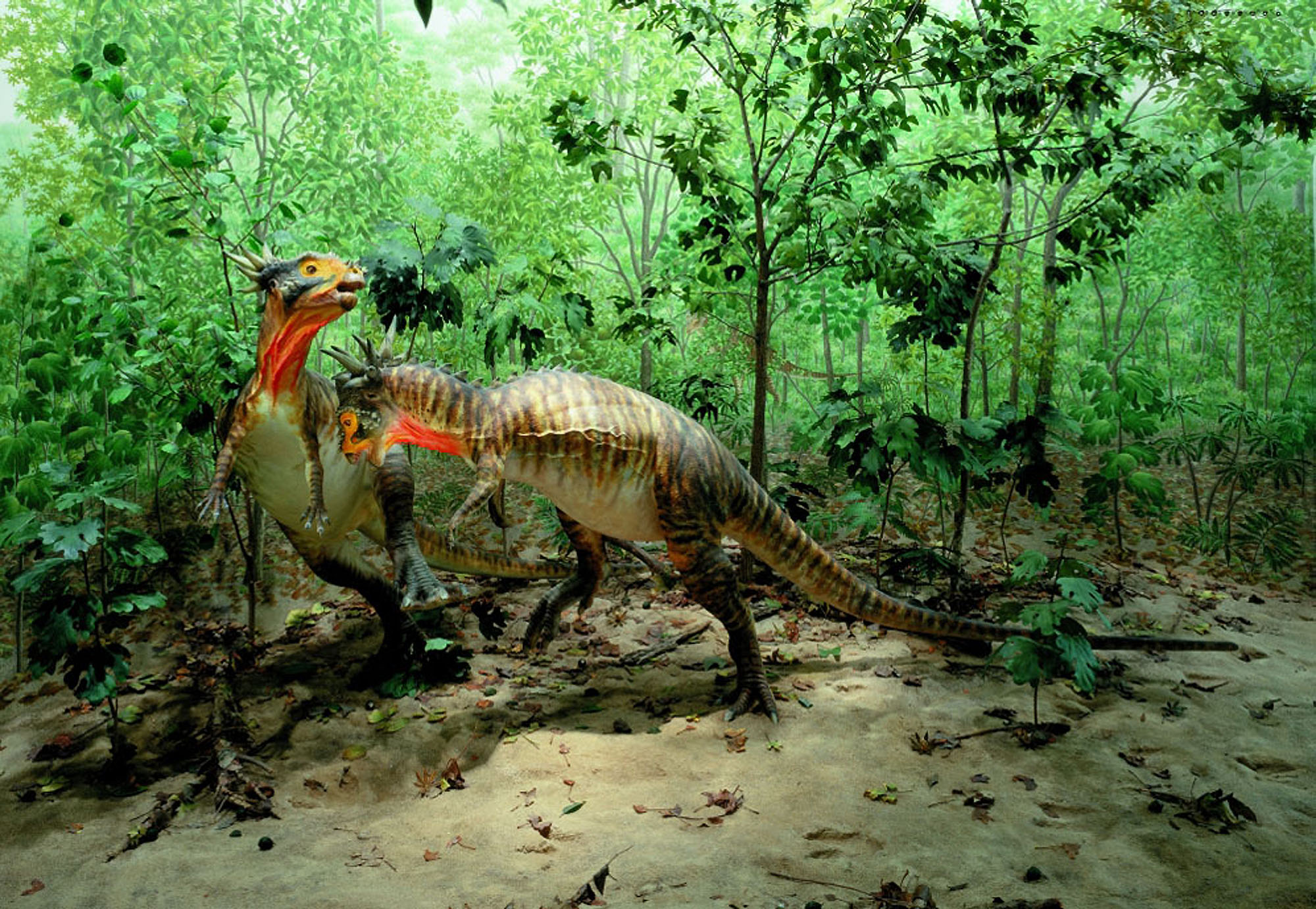 Динозавры - уничтожение метеоритом