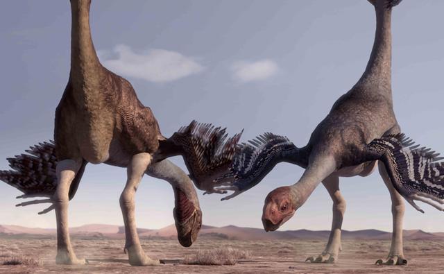 Динозавры - гигантораптор