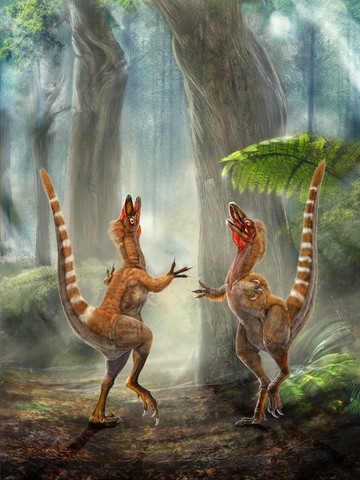 Динозавры с оперением - синозавроптериксы