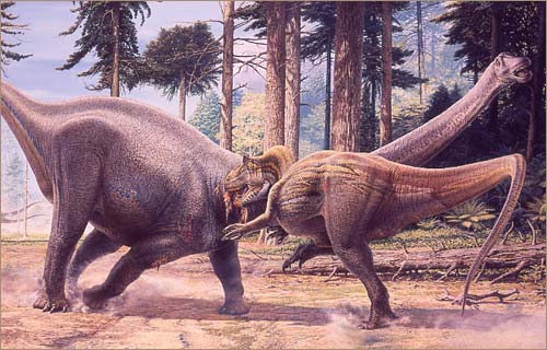 Хищные динозавры: нападения