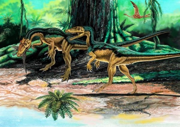 Хищные динозавры: ставрикозавры