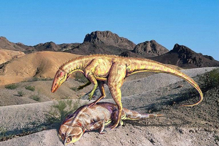 Хищные динозавры: охота ставрикозавров