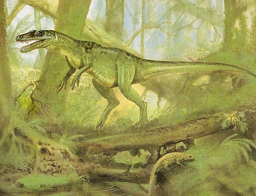 Хищные динозавры: конечности ставрикозавра