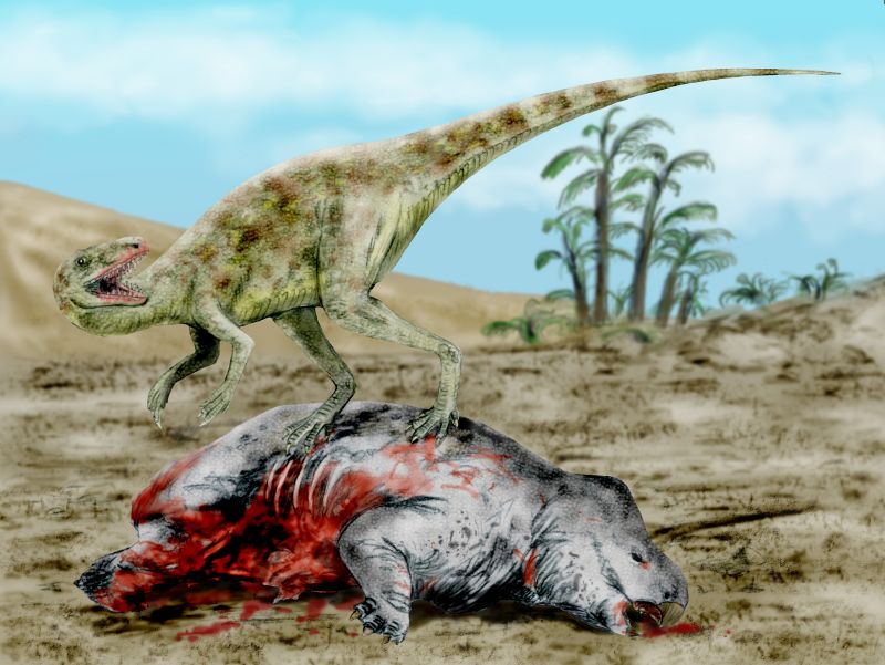 Хищные динозавры: особенности строения ставрикозавра