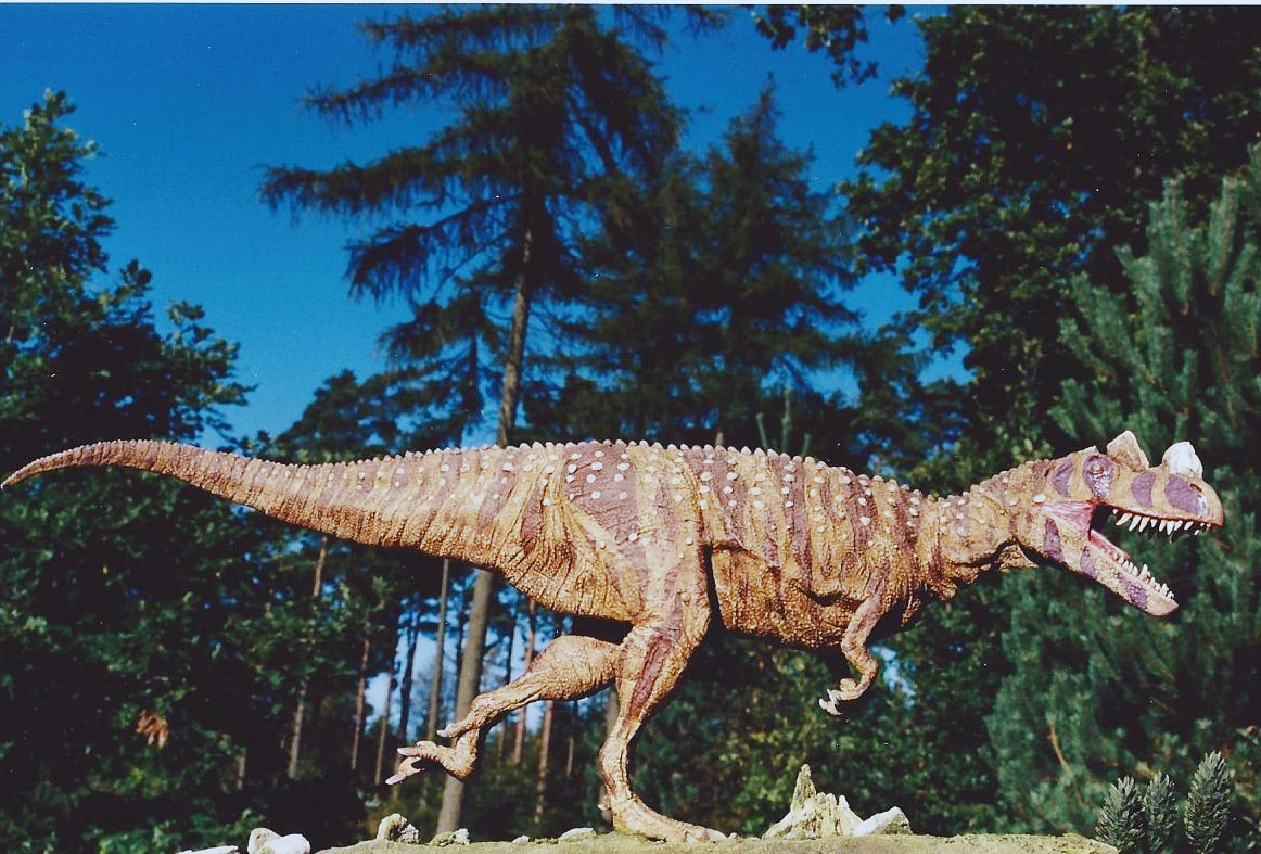 Хищные динозавры: цератозавр
