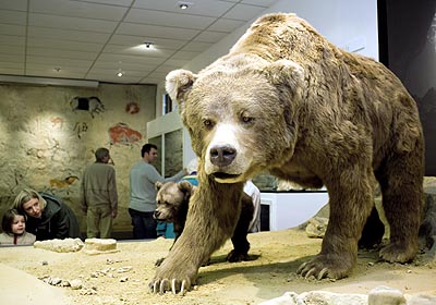 Пещерный медведь: внешний вид Пещерный медведь: внешний вид