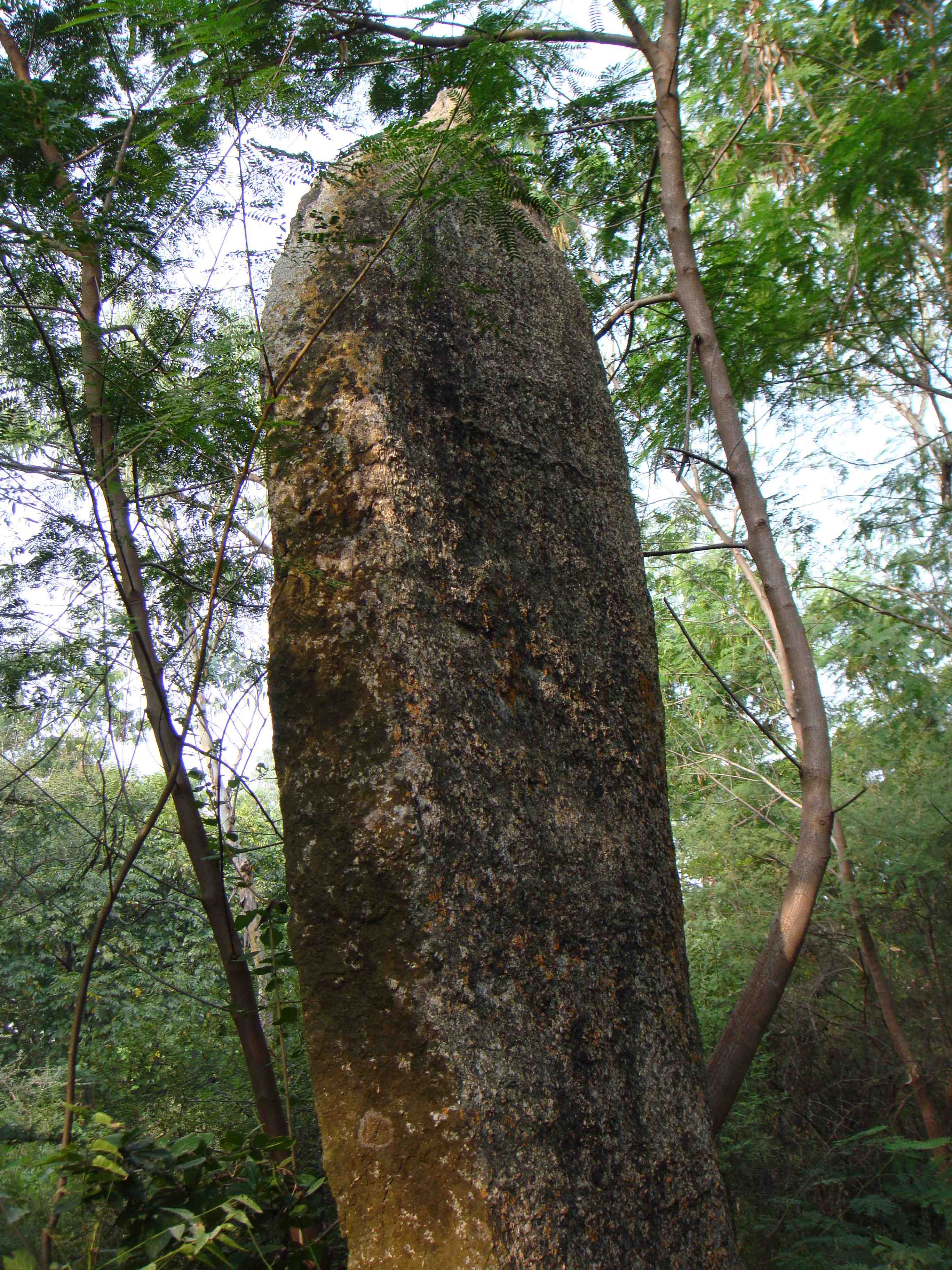 Менгиры - каменные столбы