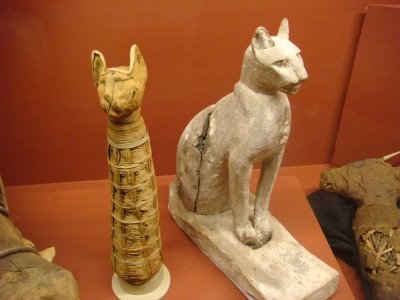 Гробницы фараонов: мумии египетских кошек