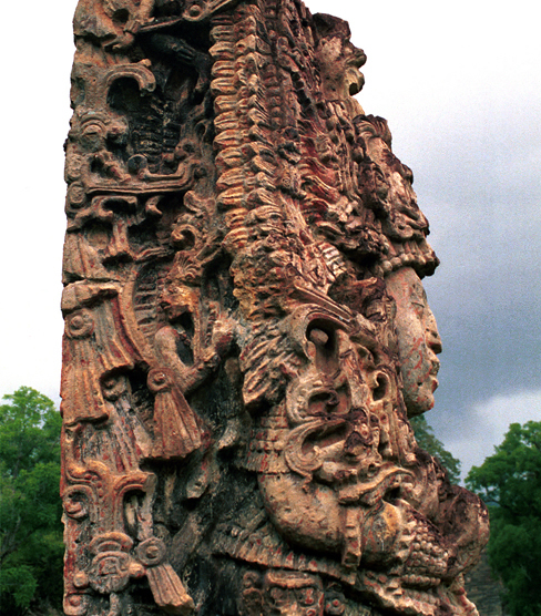 Боги майя: мировое древо Сейба