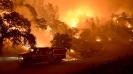 Климатические аномалии: лесные пожары