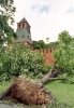 Ураганы в Москве: последствия 1998 года