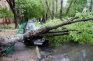 Ураганы в Москве: лето 2010 года