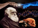 Происхождение человека: эволюционная теория Чарльза Дарвина
