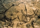 Наскальные рисунки животных: пещера Ласко