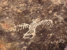 Наскальные рисунки животных: пещера Магура
