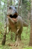Тираннозавр: скорость передвижения