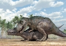 Тираннозавр: спаривание