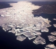 Таяние Антарктиды - разрушительный процесс