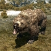 Пещерный медведь: черепа