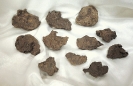 Сихотэ-Алинский метеорит: споры о происхождении