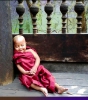 Тибетские монахи - дети