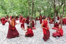 Повседневная жизнь тибетских монахов