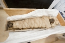 Находки египетских мумий