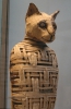 Египетские мумии животных