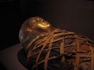 Мумия фараона Рамсеса II