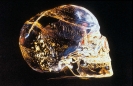 Древние артефакты: череп Митчелл-Хеджеса