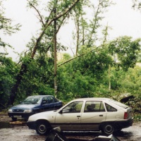 ураган 1998 года Москва