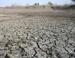 засуха в Африке
