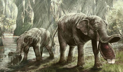 странные доисторические версии современных животных Платибелодон