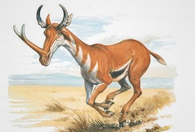 странные доисторические версии современных животных Синтетоцерас