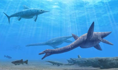 морские динозавры Плезиозавры