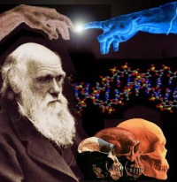 Теория эволюции: отвлечённые рассуждения или самый насущный вопрос 