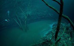 невероятные вещи под водой