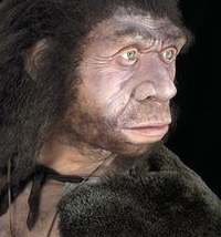 эволюционная теория происхождения человека