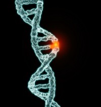 Люди-мутанты – сбой в геноме 