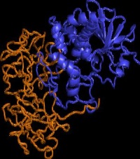 самые опасные виды биологического оружия Рицин, ботулинический токсин, СЭВ