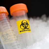 Бактериологическое оружие: биотерроризм и его последствия 