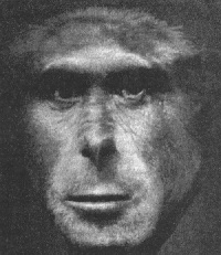 гибрид человека и обезьяны вымысел