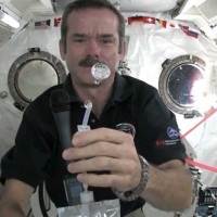 10 удивительных фактов о жизни в космосе 